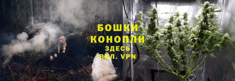 Бошки Шишки SATIVA & INDICA  купить наркотик  Никольское 